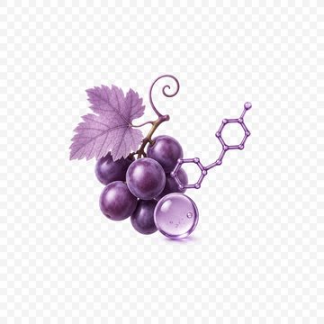 Resveratrol ingredient image